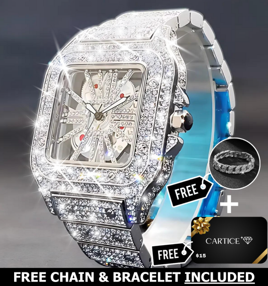 Skeleton VVS Iced Out Watch