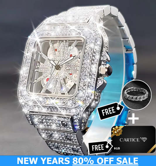 Skeleton VVS Iced Out Watch