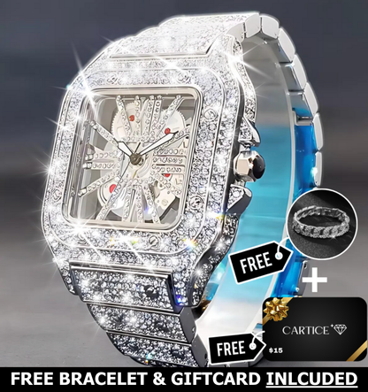 Skeleton VVS Iced Out Watch