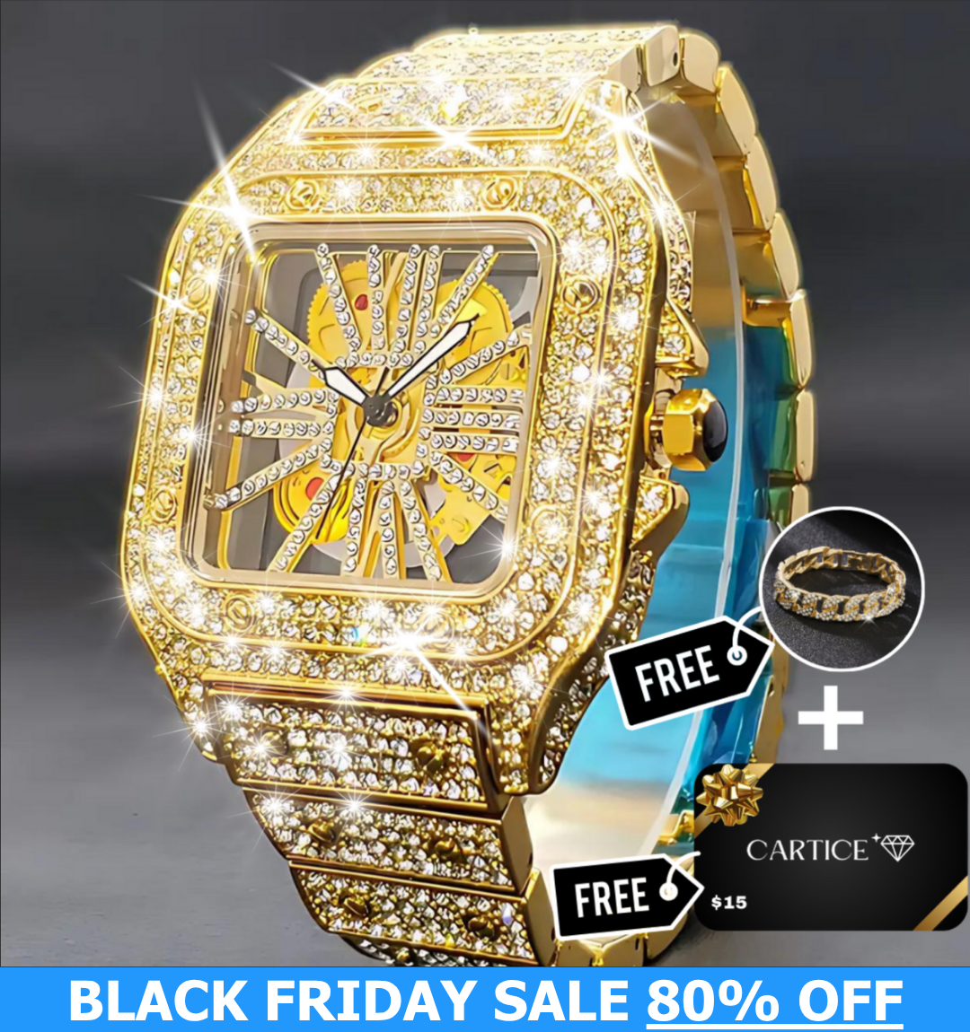 Skeleton VVS Iced Out Watch