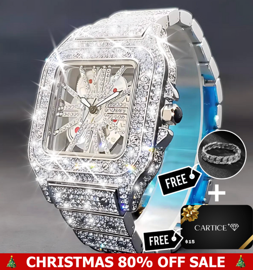 Skeleton VVS Iced Out Watch