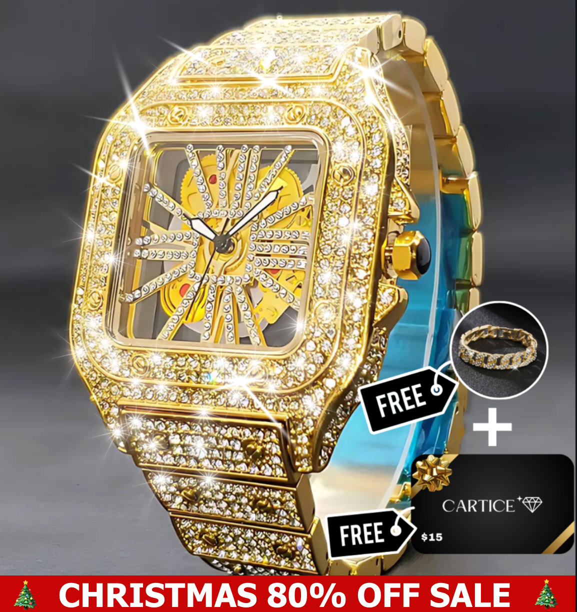 Skeleton VVS Iced Out Watch