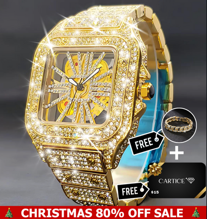 Skeleton VVS Iced Out Watch